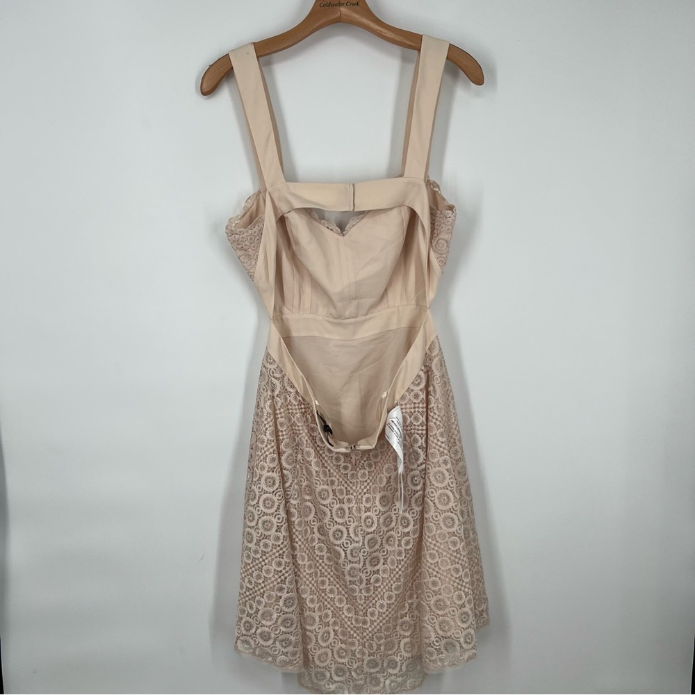 SOLD BCBGMaxAzria NEW Beige Silver Alena Lace Mini Dress - Picture 6 of 9